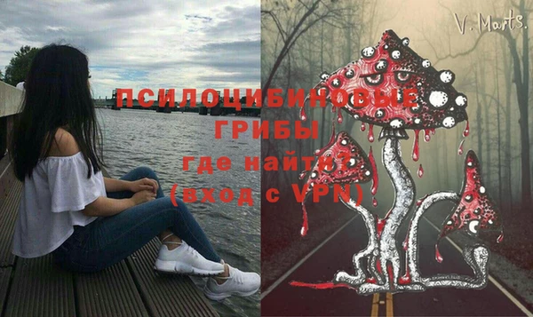 spice Пролетарск