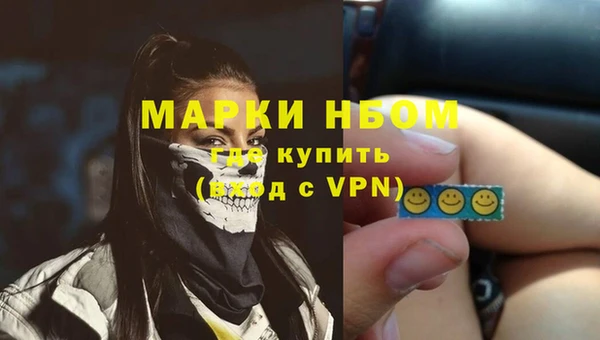 твердый Арсеньев