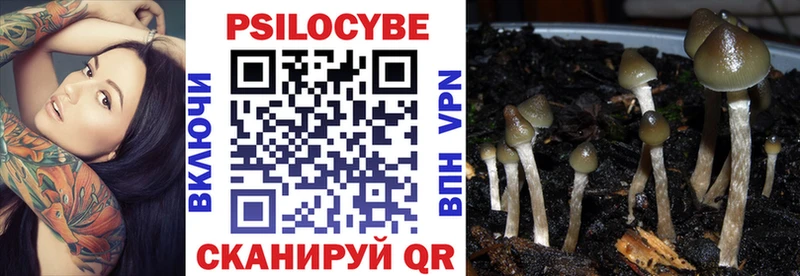 купить наркотики цена  Карасук  ОМГ ОМГ зеркало  Псилоцибиновые грибы прущие грибы 